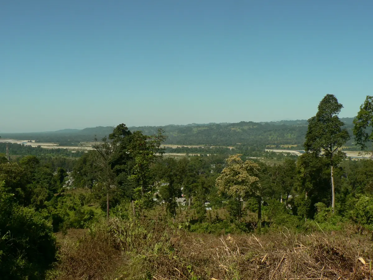 Rainforest landscape at Deban inside Namdapha National Park, Arunachal Pradesh
